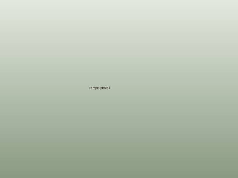 Sample photo placeholder 1
